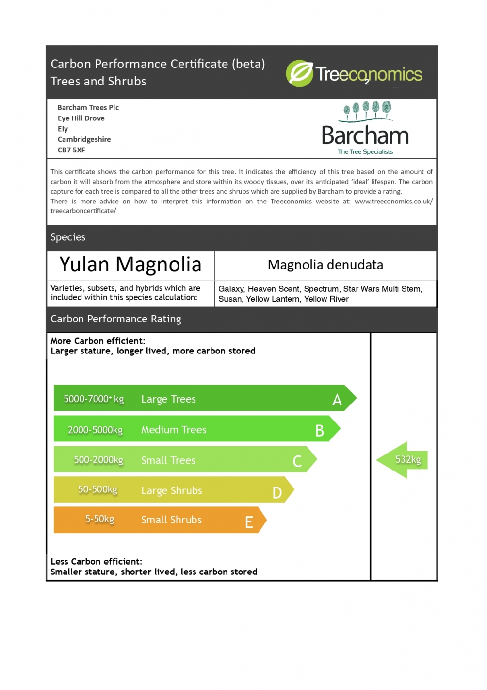 Magnolia Spectrum
