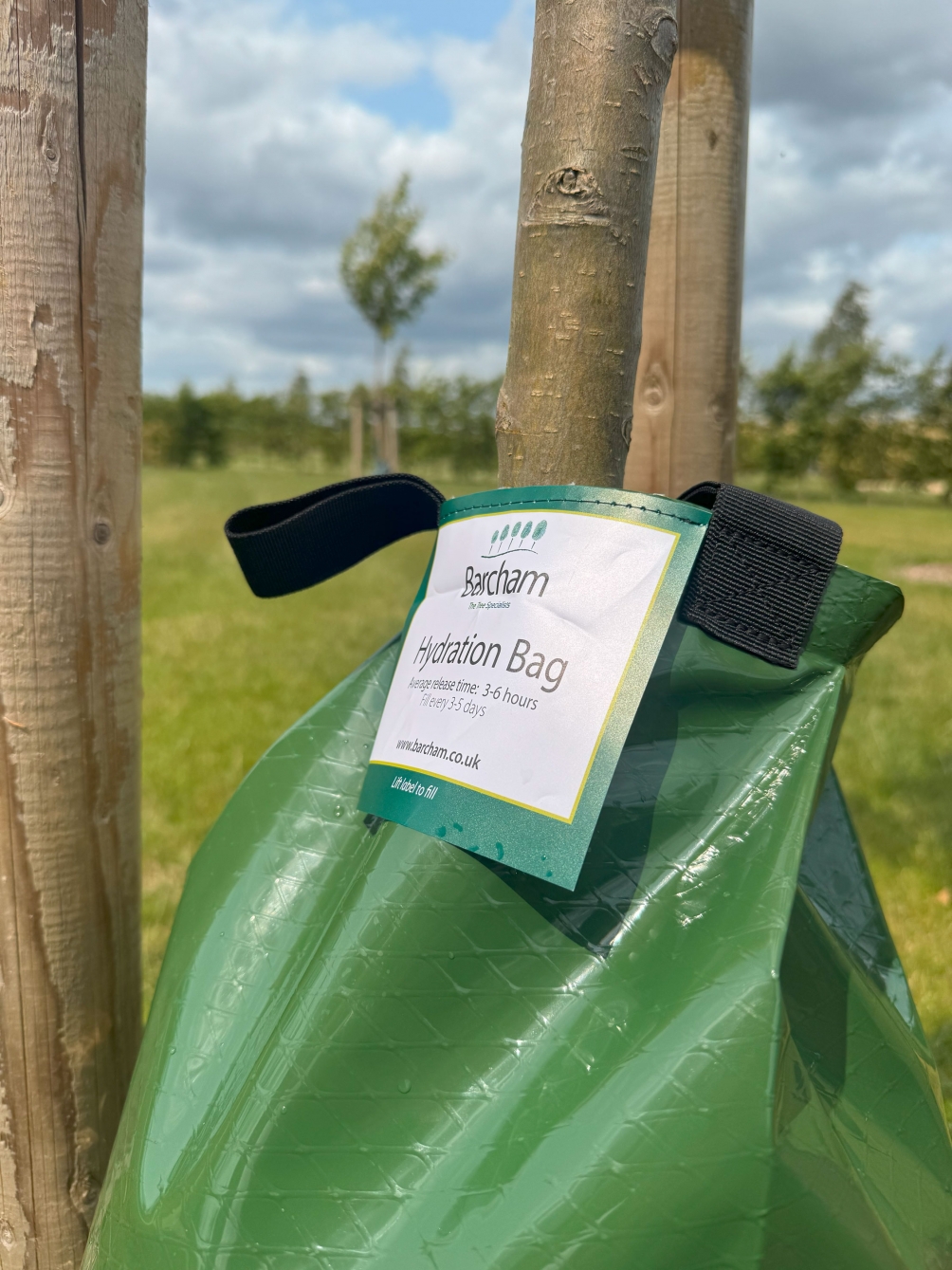 Tree Hydration Bag (Premium)