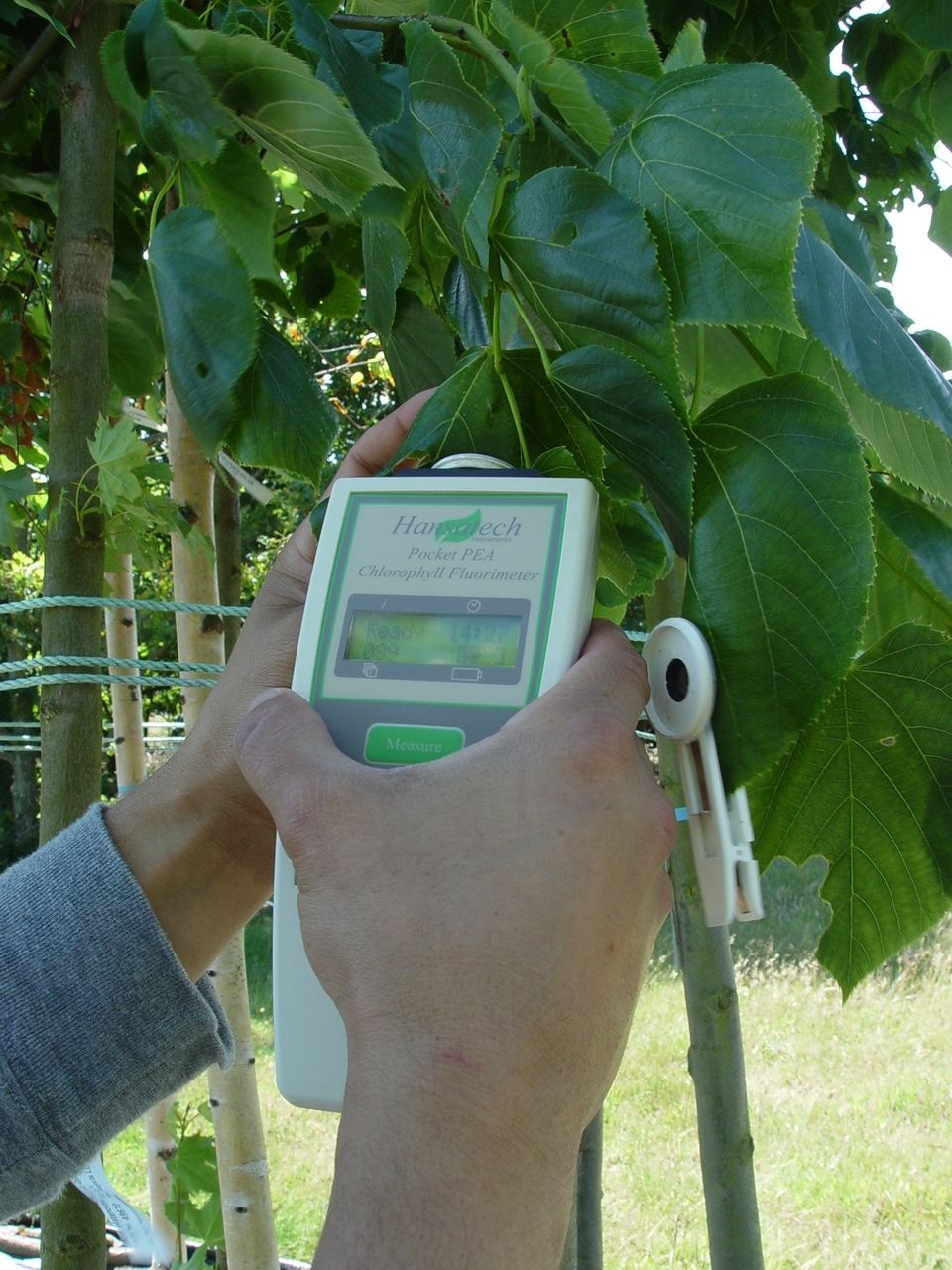 arborcheck