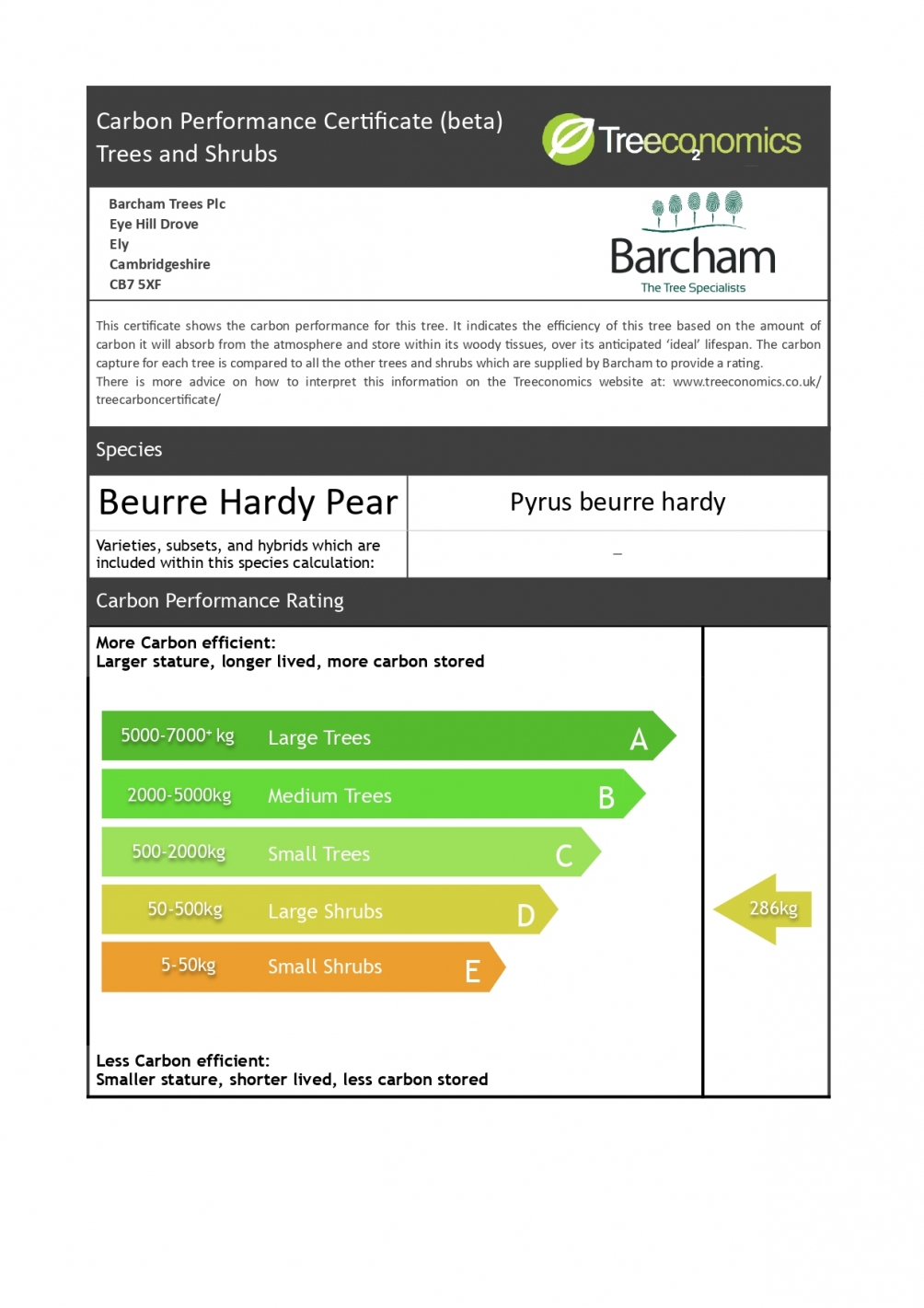 Pyrus Beurre Hardy