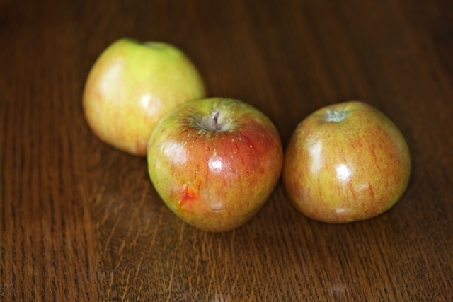Malus Cox’s Orange Pippin apples