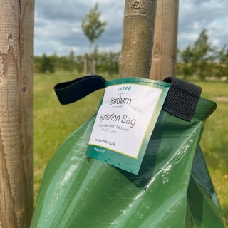 Tree Hydration Bag (Premium)