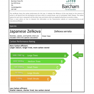 Carbon Rating