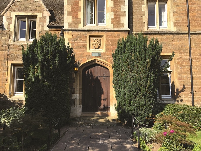 Feature made from Taxus baccata Fastigiata