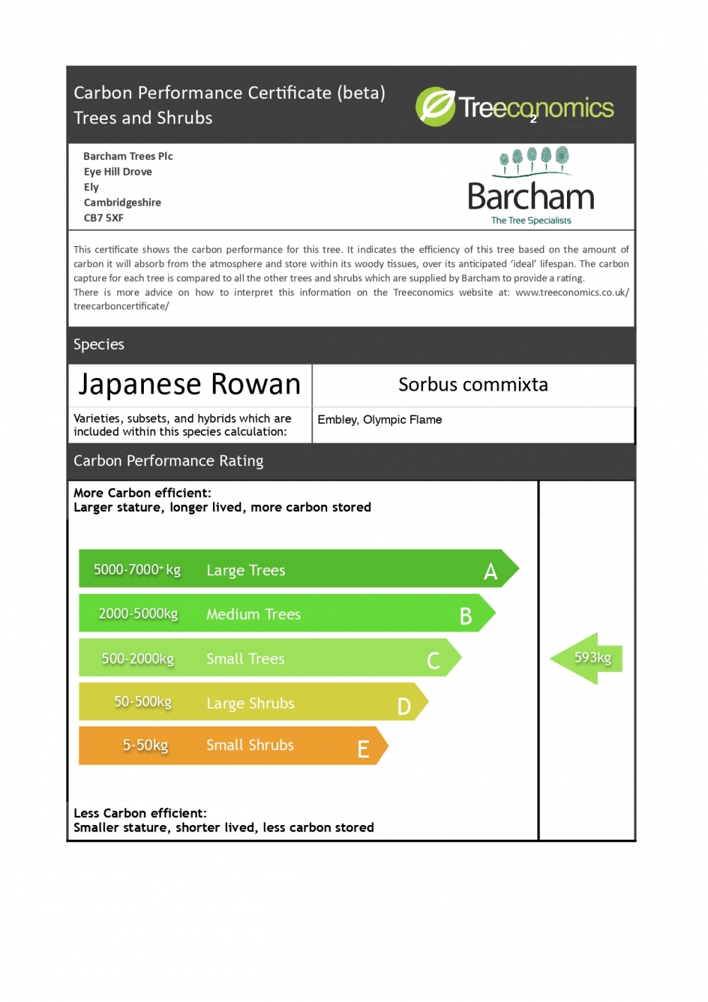 Sorbus commixta Olympic Flame Carbon Rating